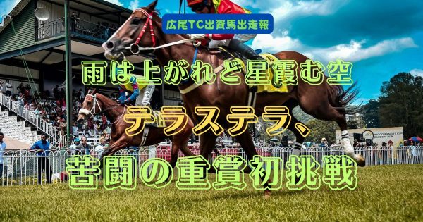 雨は上がれど星霞む空　テラステラ、苦闘の重賞初挑戦.